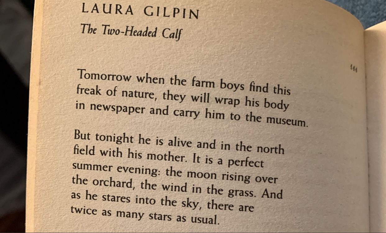 my favourite poem is The Two-Headed Calf by Laura Gilpin