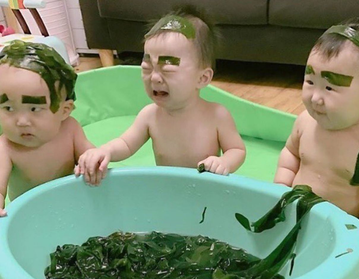 2219-seaweed