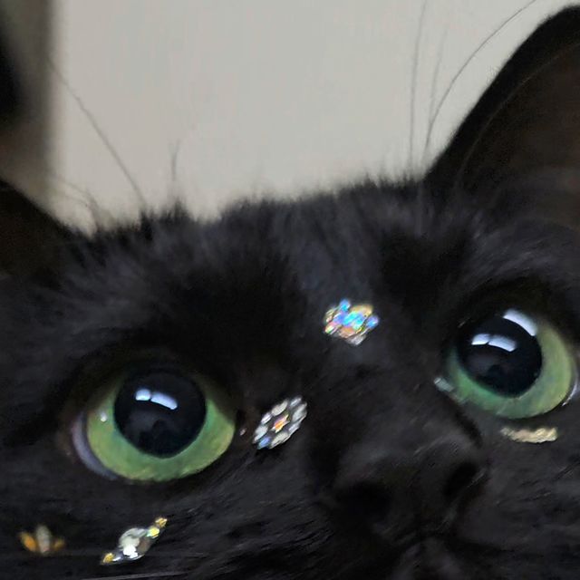 3429