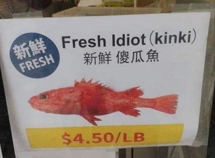 9726